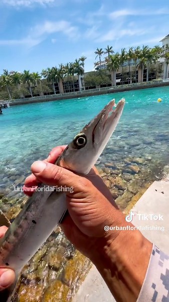 Exciting Saltwater Fishing Adventure in South Florida