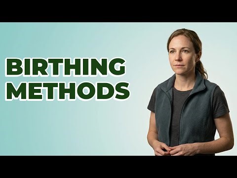 What Are The Main Mammal Birthing Methods?