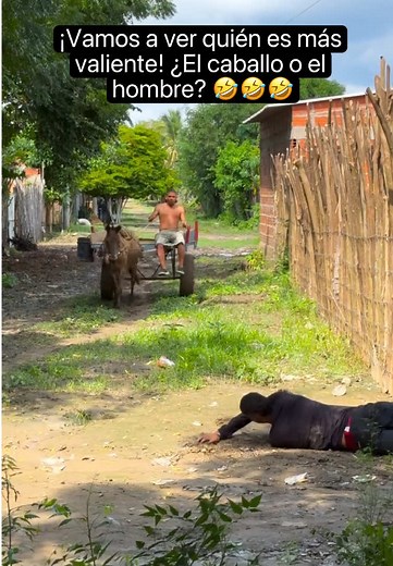 When a gorilla starts chasing people 😭🦍 #gorilla #funnygorilla #funnyvideo #animalhumor #funnyanimals