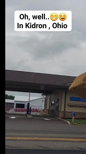 Oh well, in Kidron , Ohio , this happens 😆 #countryliving #GodBlessOurFarmers #amishcountry #kidronohio #ohioamishcountry | Ellen MariaelenaB