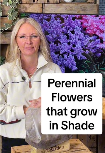 Plants for shade that also flower, perennial bare roots called astilbe, easy to plant and even easier to maintain. #easygarden #lowmaintenancegarden #gardentok #yougarden #wegarden @BexEdwards - Gardening