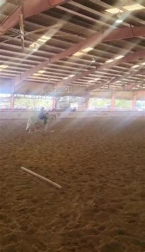 My ranch riding pattern | horse riding