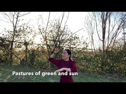 Learning to Shepherd (ASL Edition)