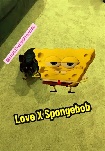 Love X Spongebob