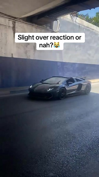 Quietest reaction to a Lambo SV rev. #f #fy #fyp #lambo #marbella