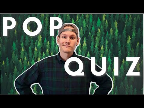 Can you Pass This Structural Engineering POP QUIZ? #structuralengineering #engineering #reddit