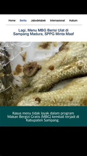 Kasus menu tidak layak dalam program Makan Bergizi Gratis (MBG) kembali terjadi di Kabupaten Sampang. Video yang beredar pada Senin (9/3/2026) memperlihatkan potongan ikan bandeng yang diduga terdapat belatung. Video tersebut disebut berasal dari keluhan wali murid SDN Rong Tengah 2 Sampang. Menanggapi video yang viral tersebut, pihak Satuan Pelayanan Pemenuhan Gizi (SPPG) Dalpenang mengakui bahwa menu ikan bandeng itu berasal dari dapur mereka. “Terkait dengan menu yang terjadi di SDN Rong Teng