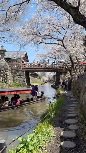 Everyone Goes To Kyoto, But Completely Misses This!