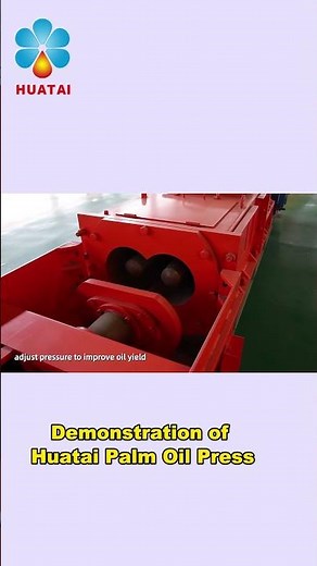 Efficient Double Screw Palm Oil Press Machine | Palm Oil Extraction Plant | Palm Oil Manufacturing