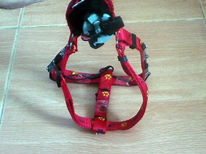 Flashing LED Dog Harness