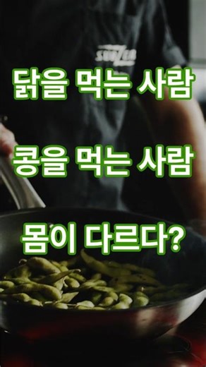 #단백질종류 #식물성단백질 #동물성단백질 #근육회복