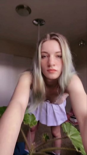 Pixie Nicky 🧚‍♀️ (@pixienicky.pdx)’s videos with original sound - Pixie Nicky 🧚‍♀️