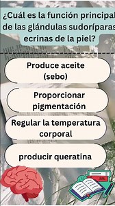 Sudoración Inteligente: La Asombrosa Función de las Glándulas Sudoríparas Ecrinas 💦🔥 #medicina