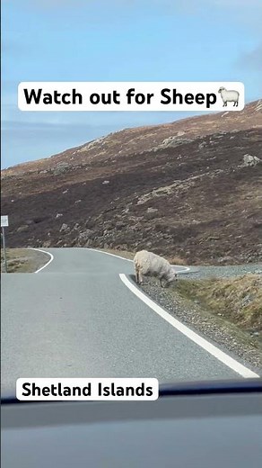 Driving on Shetland Islands #travel #shetlandislands