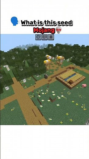 Crazy seed in Bedrock & Java #minecraft