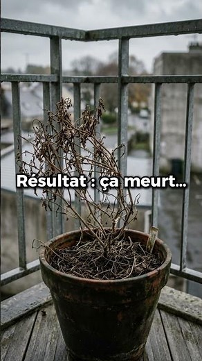 Pourquoi ton potager échoue (et comment réussir facilement) 🌱