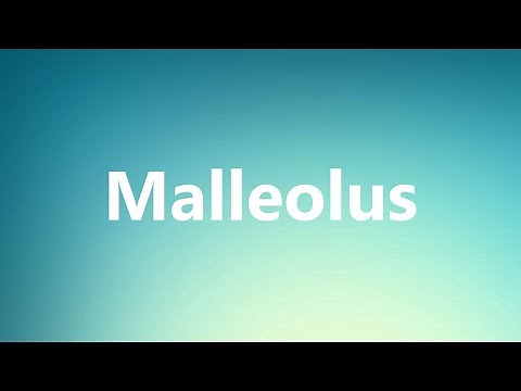 Malleolus - Medical Definition and Pronunciation