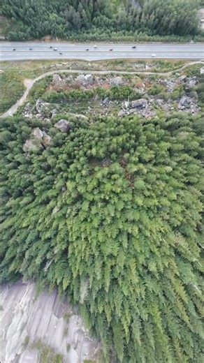 Epic Skydive Freefall 🌍 | Adrenaline POV