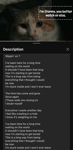 Stormy says to watch our music video or he’s gonna get angry.. (You wouldn’t like him when he’s angry.) Do us a favor if you will… Like, share, comment and subscribe on platforms to help us out on the algorithm. It does wonders. Thanks fam🤘🏻☁️ https://youtu.be/nTTfOvAGMew?si=3rowk-7jtgBzLDXH https://open.spotify.com/track/6pcYZUwHnjYBuaTmuk5YfC?si=QaY3UKoHTQWKdahNv1P15g https://music.apple.com/us/album/slippin-on-7/1843005764?i=1843005767 | Under Clouds and Surveillance