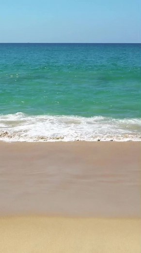 Sonidos Relajantes del Mar: Olas y Naturaleza