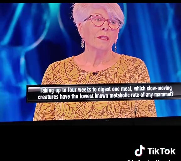 Tipping Point Quiz Mistakes: Hilarious Moments