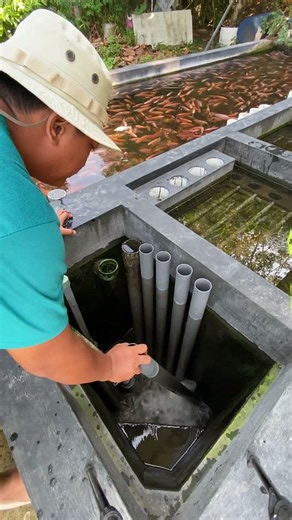 Pov: Slow living sambil budidaya ikan nila