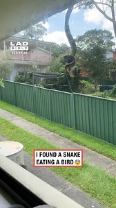 At least it wasn't me 💀🐍 | LADbible Australia