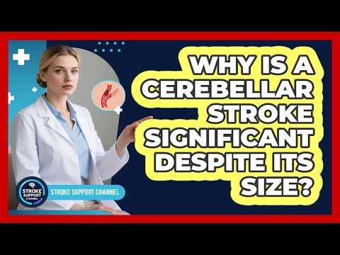 Why Is A Cerebellar Stroke Significant Despite Its Size? - Stroke Support Channel