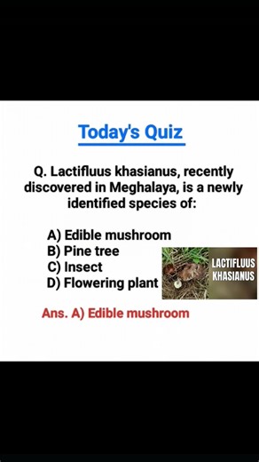 today's quiz