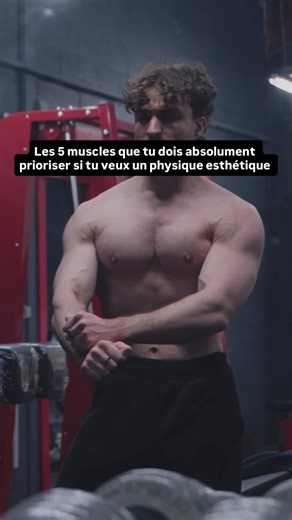 Les 5 muscles que tu dois absolument prioriser si tu veux un physique esthétique. Avant tout : Un physique esthétique repose sur un déficit léger, une routine alimentaire tenable et un niveau d’activité suffisant pour gérer ce déficit facilement. Mais une fois ça en place… le vrai travail commence. Parce que pour obtenir un rendu esthétique, tu ne dois pas juste “t’entraîner fort”. Tu dois t’entraîner intelligemment en ciblant les zones qui transforment le regard. Voici les 5 muscles qui changen