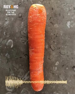 ‘The carrot at the end of the rainbow’. Roy & HG’s ‘Bludging on the Blindside’ - Saturdays at midday on ABC Sport, or catch up with the Podcast. | Roy & HG