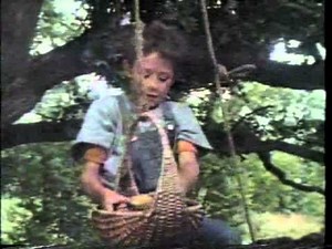 Long Ago and Far Away - The Boy in the Oak Tree