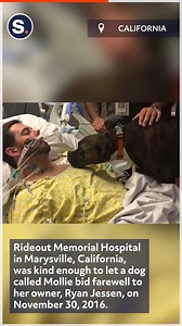 It is never easy to say a final goodbye to a loved one, although Rideout Memorial Hospital in Marysville, California, was kind enough to let a dog called Mollie bid farewell to her owner in this tear-jerking video. | storyful
