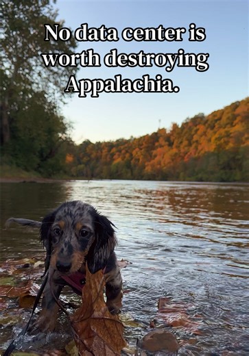 A single large data center can consume between 1 million and 5 million gallons of water daily for cooling. Keep data centers OUT of Appalachia! #fypシ #appalachianmountains