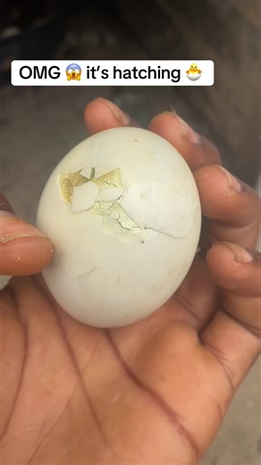 labikabonbon on TikTok