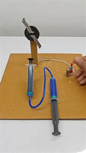 Amazing Science Exhibition Projects & Experiments