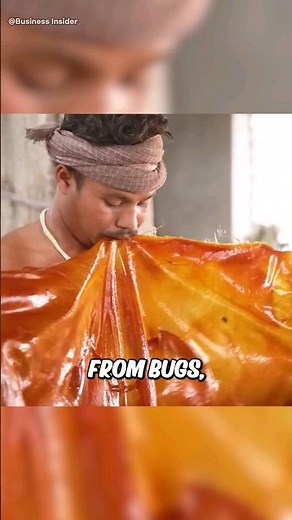 Have you ever eaten insect mucus?