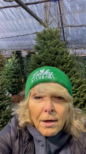 Bells Nursery on Specking! The Big Beautiful Green Machine and big beautiful Christmas trees! 🎄 | Lucky Wishbone