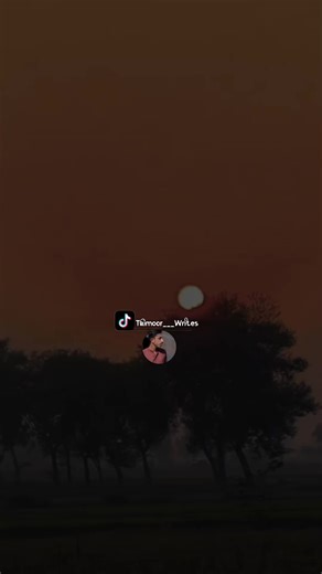 Exploring Tamoorgraphy and Meesum Khokhar's Poetry