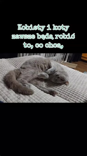 maggie_lioness na TikTok