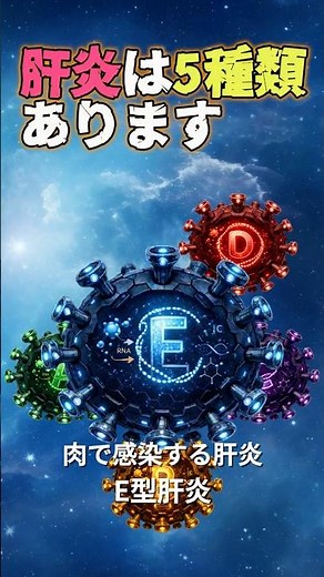 肝炎は5種類あります⑤ 肉で感染する肝炎、E型肝炎 #E型肝炎 #HEV #ウイルス性肝炎 #肝炎 #感染症 #ジビエ #消化器内科 #医師解説 #shorts