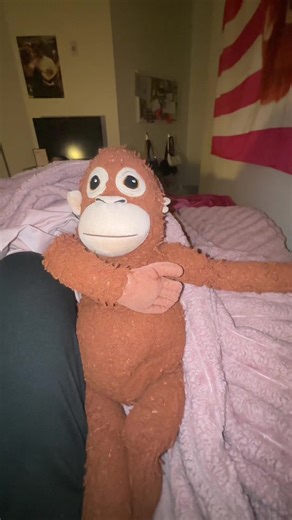 #djungelskog | djungelskog