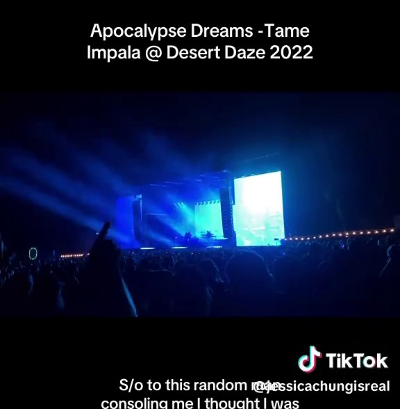 Emotional Experience at Desert Daze Festival