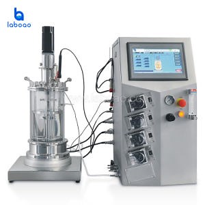 [Hot Item] Laboao Bentchtop Plant Cell Airlift Bioreactor System