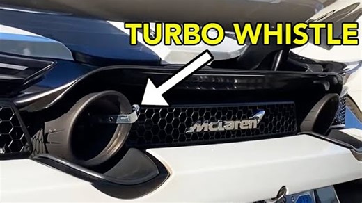 Are Amazon turbo whistles worth it? 🎶