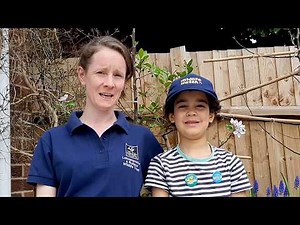 Go Wild at Home: How to make a wormery