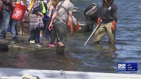 Looking for activities during April vacation? Help stock these Massachusetts lakes with trout