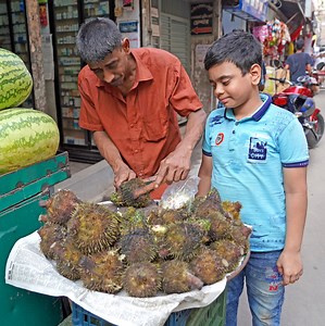 18M views · 52K reactions | Unique Bengali Spiny Hedgehog Water Fruit Fox Nut | Food BD | Facebook