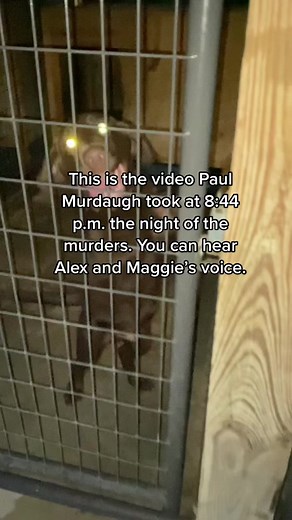 Murdaugh Family Kennel Video Revealed: Paul's Recording of the Night
