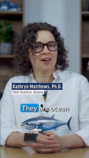 Tuna are Ocean Diplomats